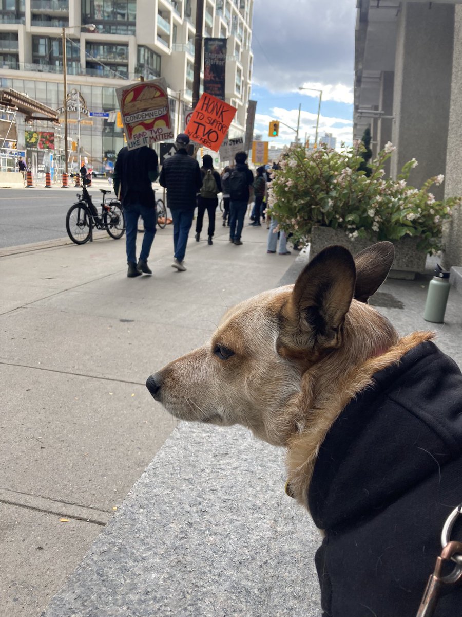 “Eight weeks… Look at us.” *takes drag of dog cigarette* #FundTVOLikeItMatters #OntarioMade #UnionStrong #Solidarity #Strike