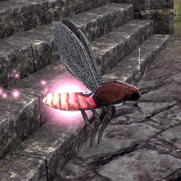 NefasUpdates's tweet photo. We are giving away a FREE month of ESO Plus (PC) to one person AND a Pink Torchbug Pet (any Platform/Server) to another lucky person who play @TESOnline 

🔵FOLLOW/LIKE/RETWEET to enter our #ESO giveaway!

#ElderScrollsOnline #ESOFam https://t.co/DVSkX7wpro
