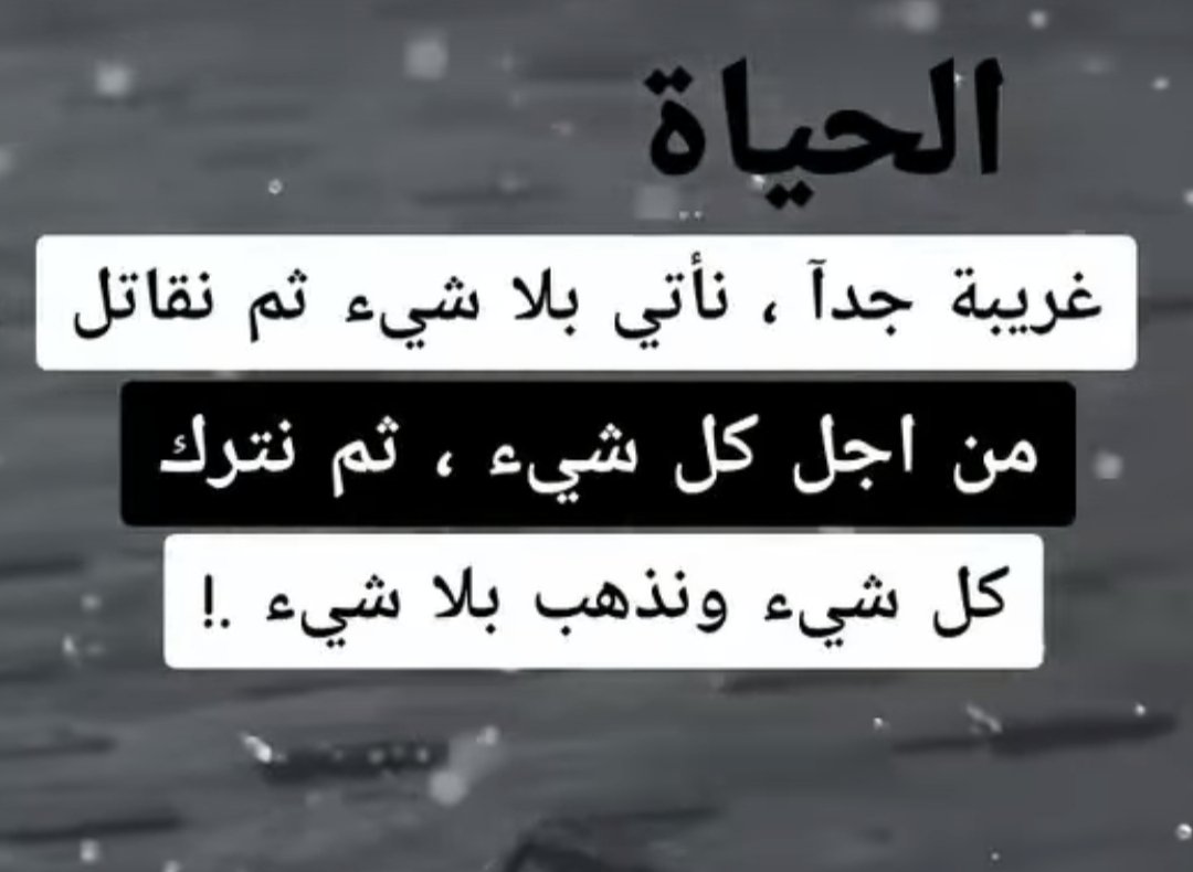 oum_keltoum's tweet image. 