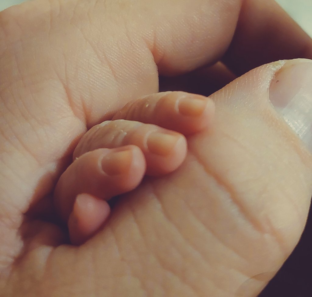 Kpcrypt0 tweet media