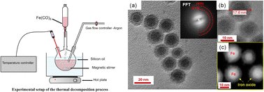 imantsdirba's tweet photo. Our paper on optimization of iron-based  nanoparticles for magnetic fluid hyperthermia and human endothelial cell uptake is published in Nanoscale Advances. The remarkable cellular uptake highlights the potential for biomedical  applications.
https://t.co/kWhp36b06i https://t.co/VLhw9SsZiN