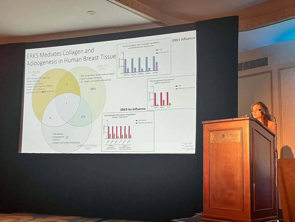 keliomics's tweet photo. Keliomics recognizes Katherine Hebert's 2023 #IFATS presentation: ERK5 Characterization in a Novel Adipose-Based Breast Cancer Microphysiological System. Data confirm that ERK5 interacts w/ breast tissue in patient-specific manner &amp; suggest ERK5 is potential target for therapies. https://t.co/xiMaJKYYGF