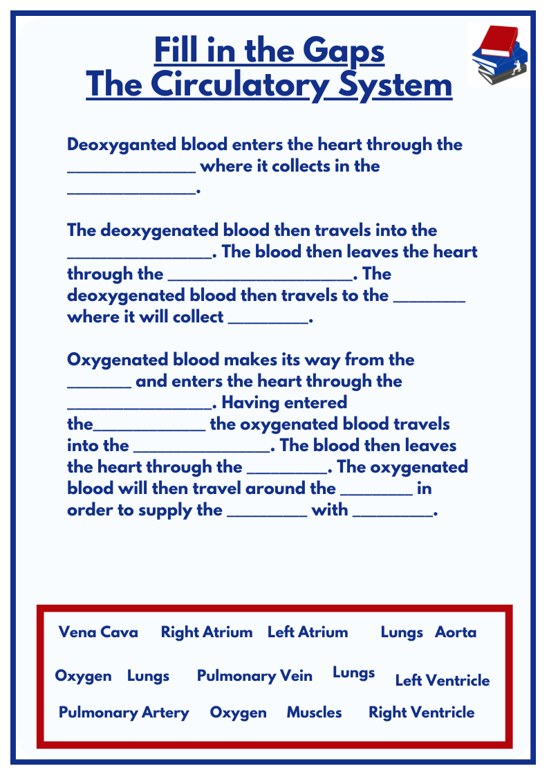 Here is a fill in the gaps activity on the Circulatory System you may want to use with your pupils (GCSE and Sports Science)🫀