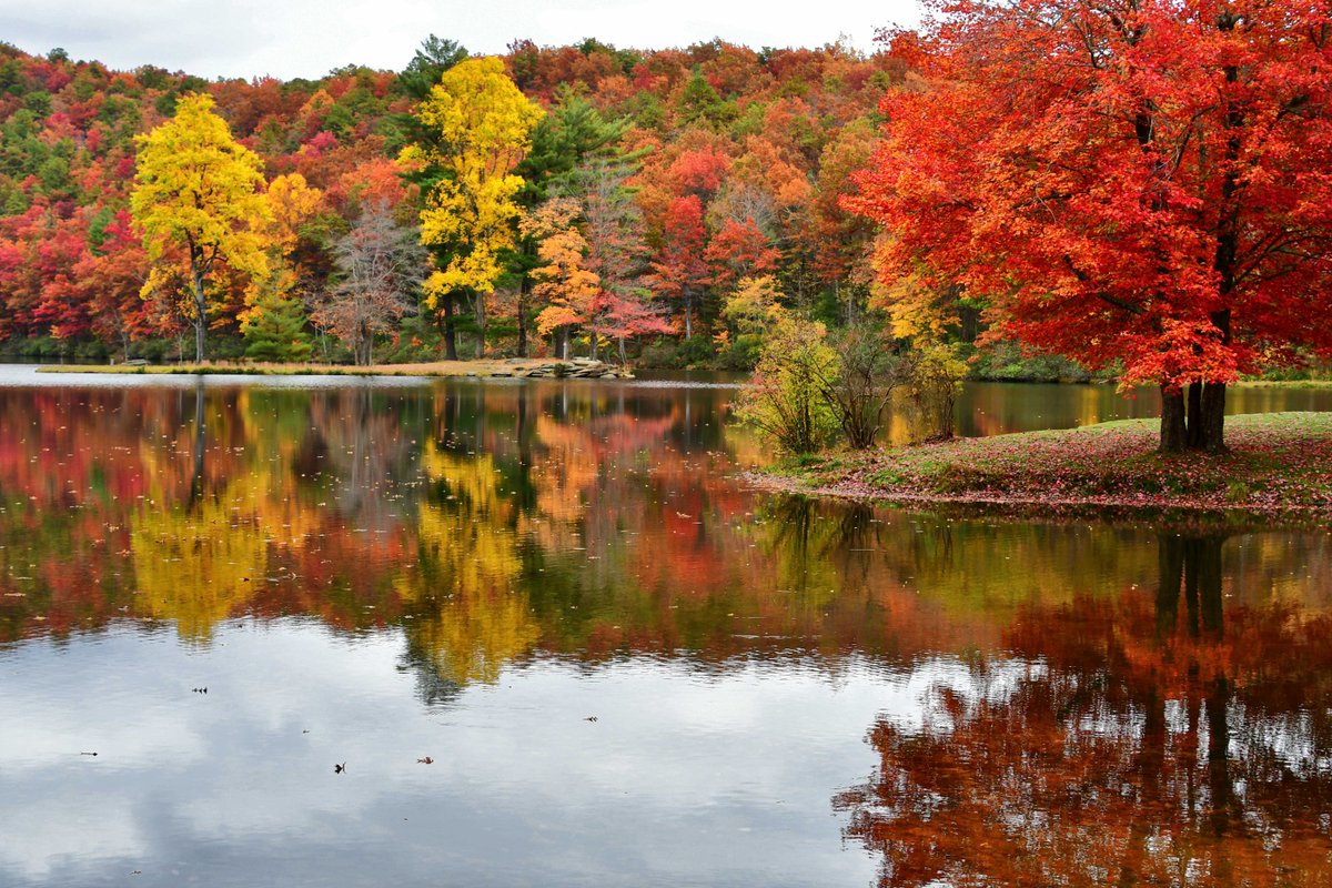 Nature's canvas is ablaze with brilliant autumn hues – a mesmerizing symphony of reds, oranges, and golds. Fall's beauty leaves us breathless.
.
#FallColors #AutumnLeaves #FoliageMagic #LeafPeeping #FallBeauty #GoldenAutumn #SeasonalSplendor #RusticCharm #AutumnVibes #CrispDays