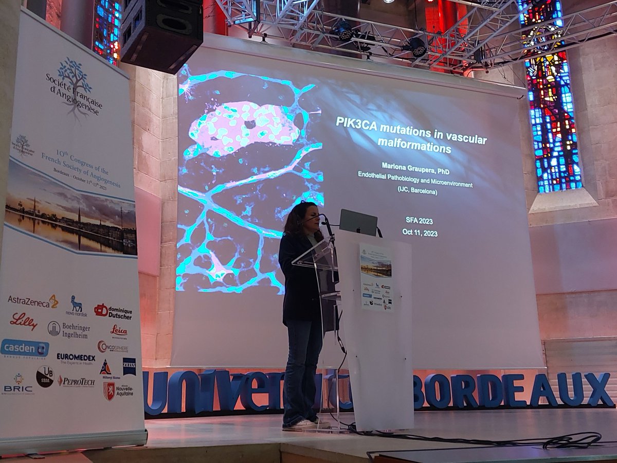 ThomasMathivet's tweet photo. Happy to share with you the kickoff of the 10th French Society of Angiogenesis meeting (@sf_angiogenese)  in Bordeaux! Fantastic speakers (here @MarionaGraupera ) and a great audience ! https://t.co/IG6rNpIiqn