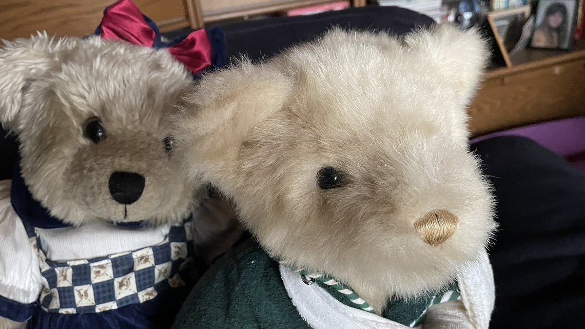 BearemyTed's tweet photo. @Emergency_Teds Susie: Hello Professor Wrigglesworth, can I bring Cuthbert again? #ForgiveCuthbert #StandWithCuthbert https://t.co/sSNmJutGZy