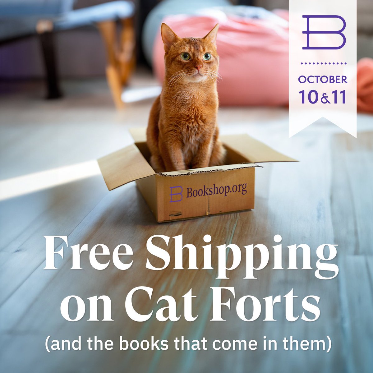 JGFoster20's tweet photo. Have you seen that https://t.co/Glda6UKOuP has free shipping sidewide? #bookshoporg #paperbacks #FreeShipping #localbusiness #Booksshopday https://t.co/0Wb61VhwUb https://t.co/vPCS5ziqsr