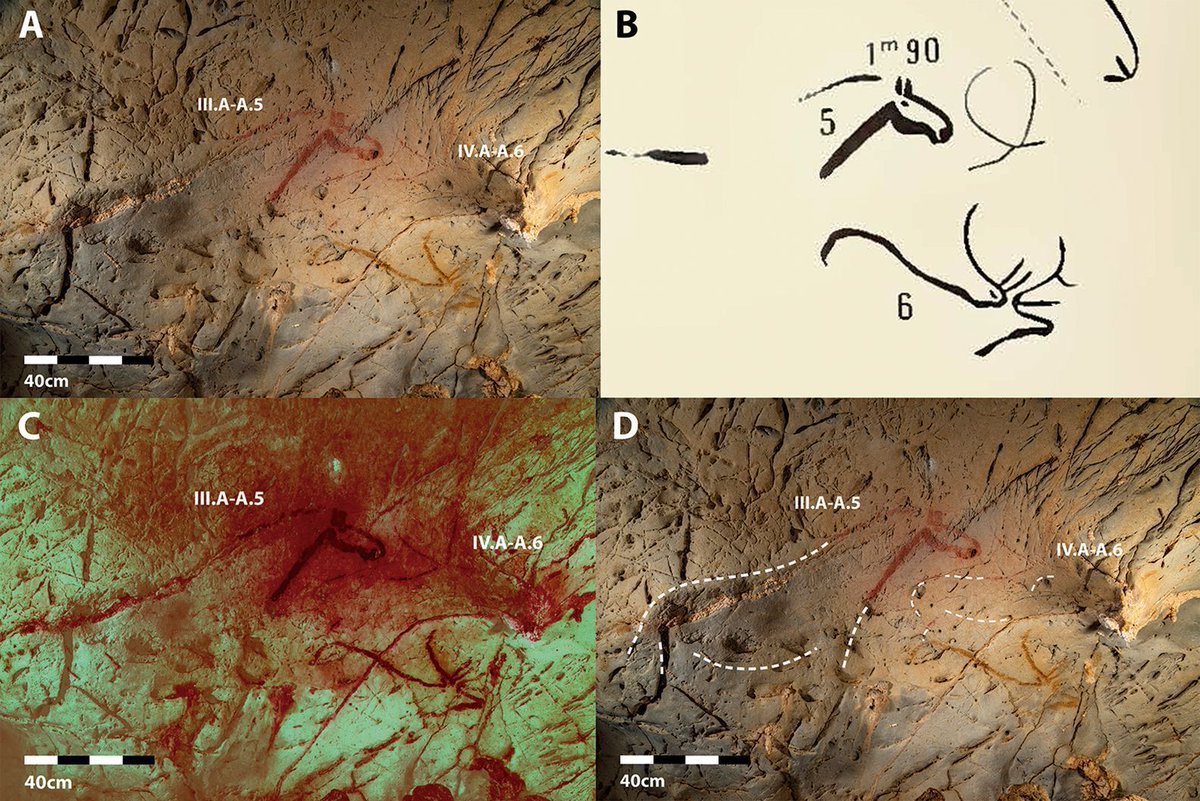 AntiquityJ's tweet image. New digital visualisation techniques reveal #Palaeolithic cave art in much more detail.

#CaveArt was possibly the earliest form of information exchange, so the discovery of hidden features may reveal how our ancestors communicated #WednesdayWisdom

🆓 buff.ly/3qK5JAr