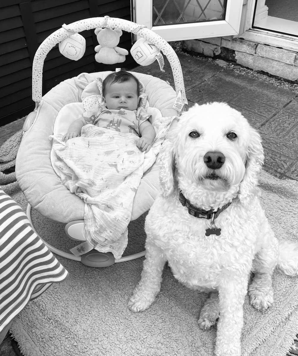 Susan Moor tweet media