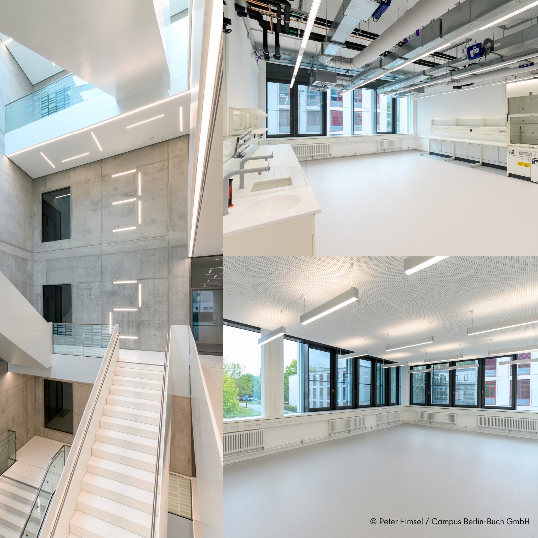 RegBerlin's tweet photo. Heute ist ein guter Tag für Berliner StartUps im Bereich BioTech! 🚀Das Gründerzentrum #BerlinBioCube öffnet seine Türen. Damit sind Innovation, Wissenschaft und Unternehmertum an einem Standort, dem Biotechnologiepark in Berlin-Buch, vereint. @campusbuch @SenWiEnBe @SenWGP https://t.co/Nj6Ob8nbx1