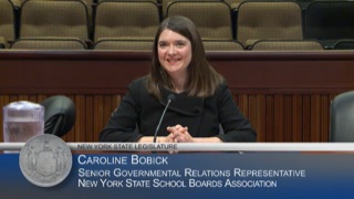 nyschoolboards's tweet photo. Caroline Bobick, NYSSBA's Senior Governmental Relations Representative, is testifying today before the NYS Assembly Public Hearing on Partnerships Between  School Districts and Colleges and Universities. https://t.co/hww65X6Xz9