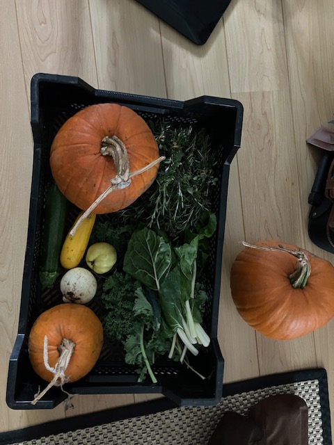 storecupboardW7's tweet photo. More wonderful produce from The DIG community garden @cultiv8london for our Store Cupboard families this week.  #Hanwell #communitygrowing https://t.co/0F9mBHuTUe
