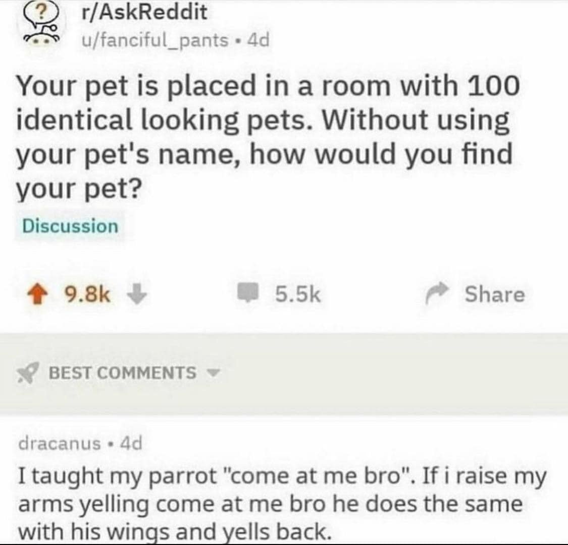 WholesomeMemes tweet media