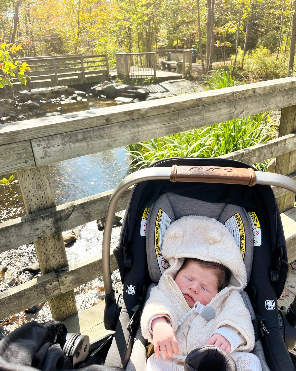 erinrosemaryy's tweet photo. life with my little best friend 🩵 https://t.co/iShmZmf8Ii
