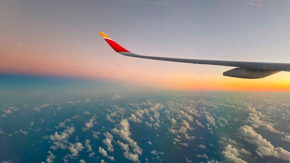 Iberia tweet media
