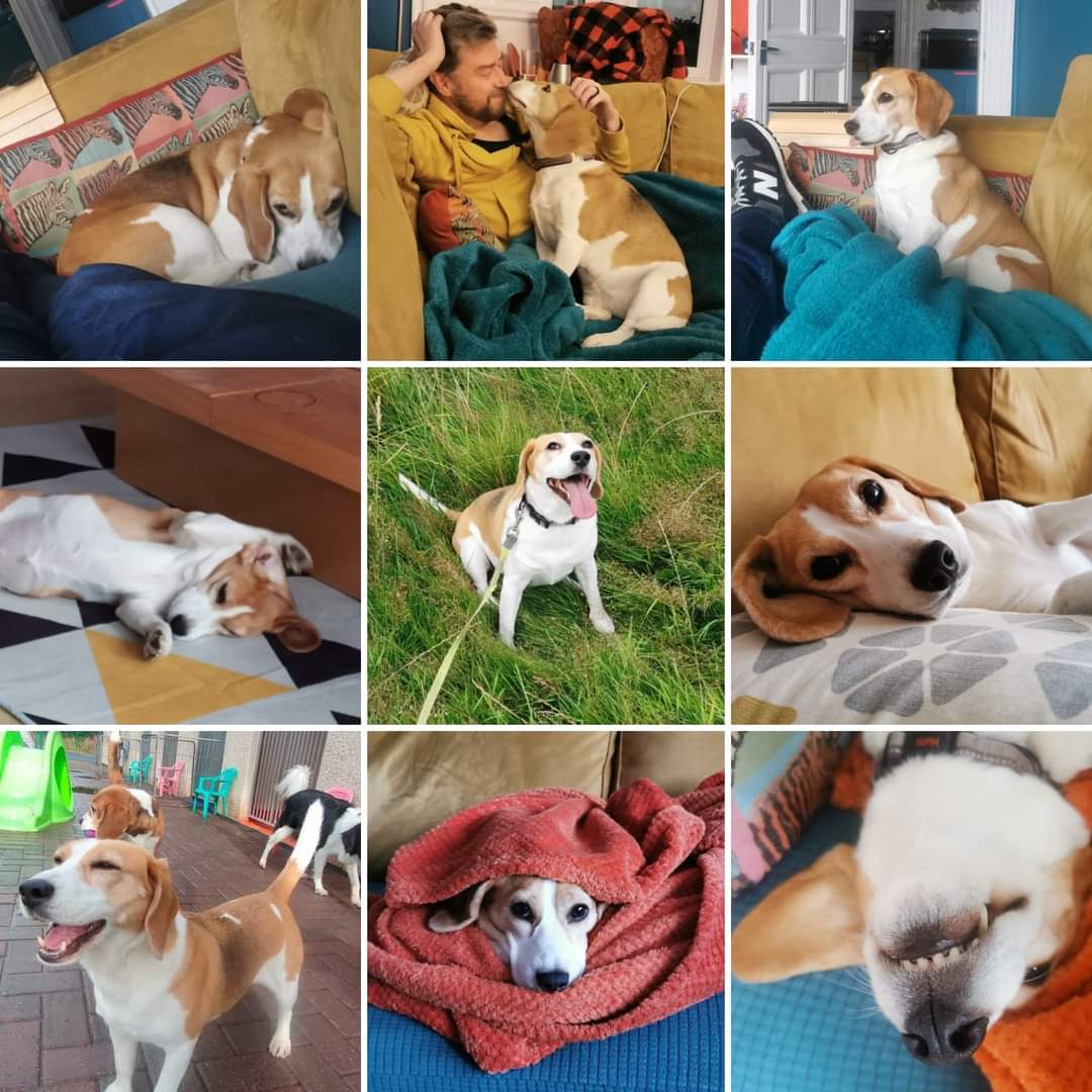 Yesterday was my five year Gotcha Day!