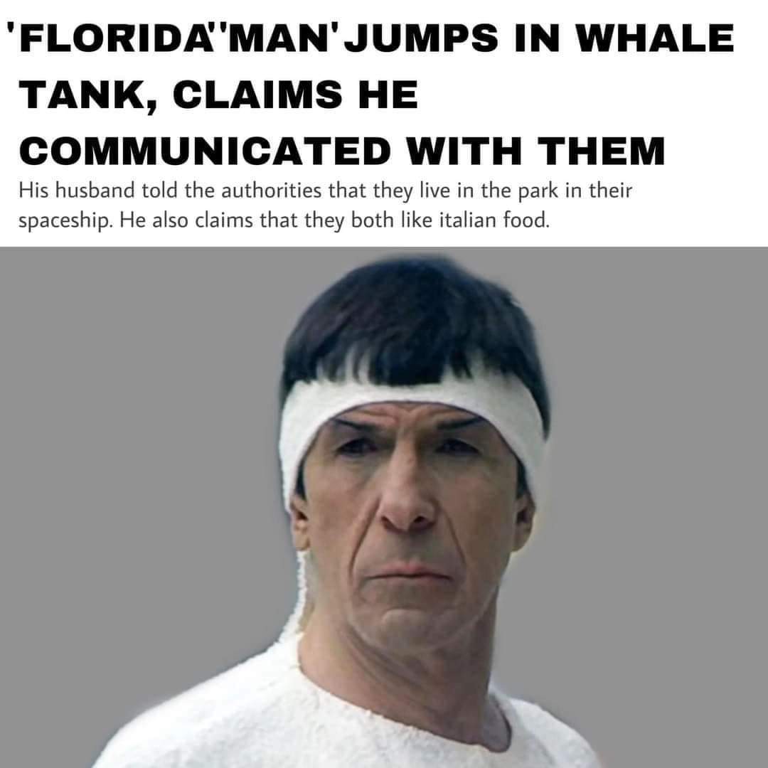 Florida man at it again...
