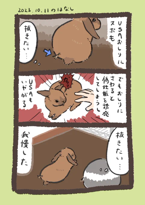 抜きたい

#うさぎのいる生活 