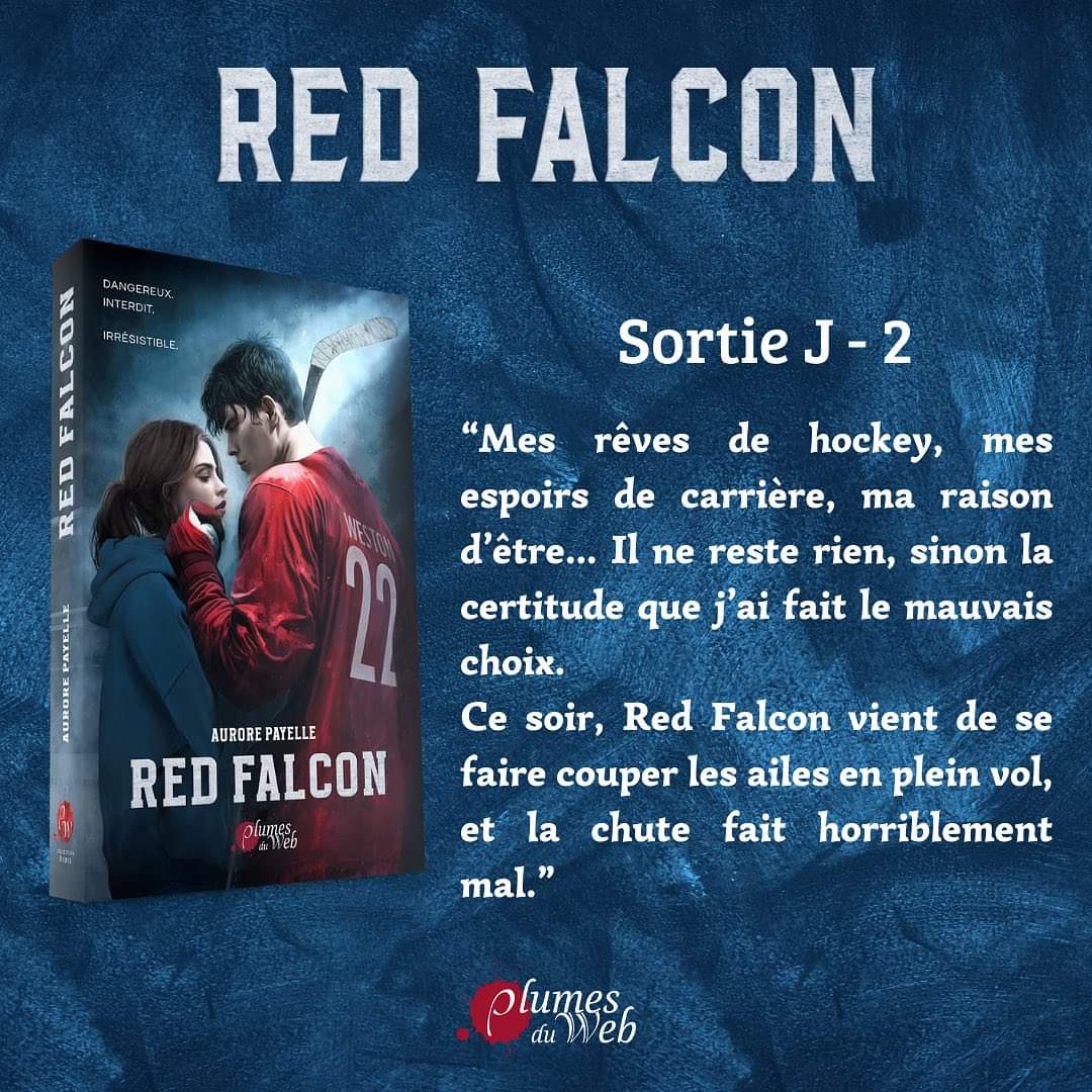 Red Falcon Ebook au format ePub - Aurore Payelle