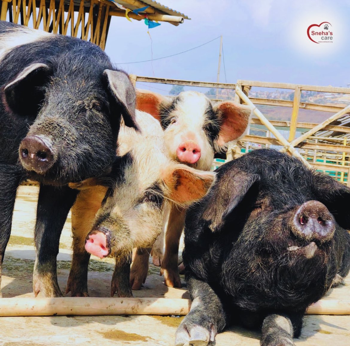 Jake Conroy tweet media