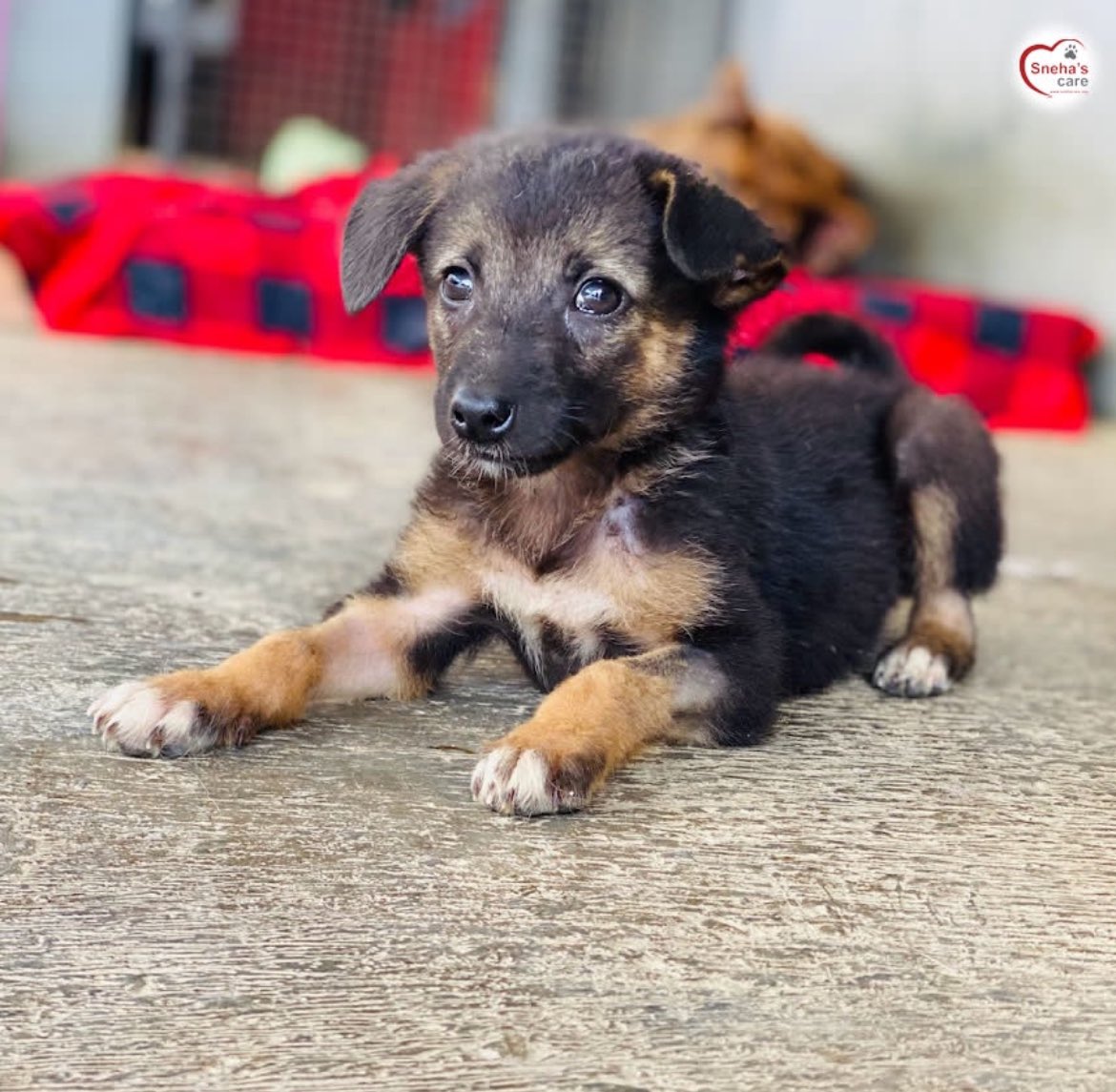 Jake Conroy tweet media