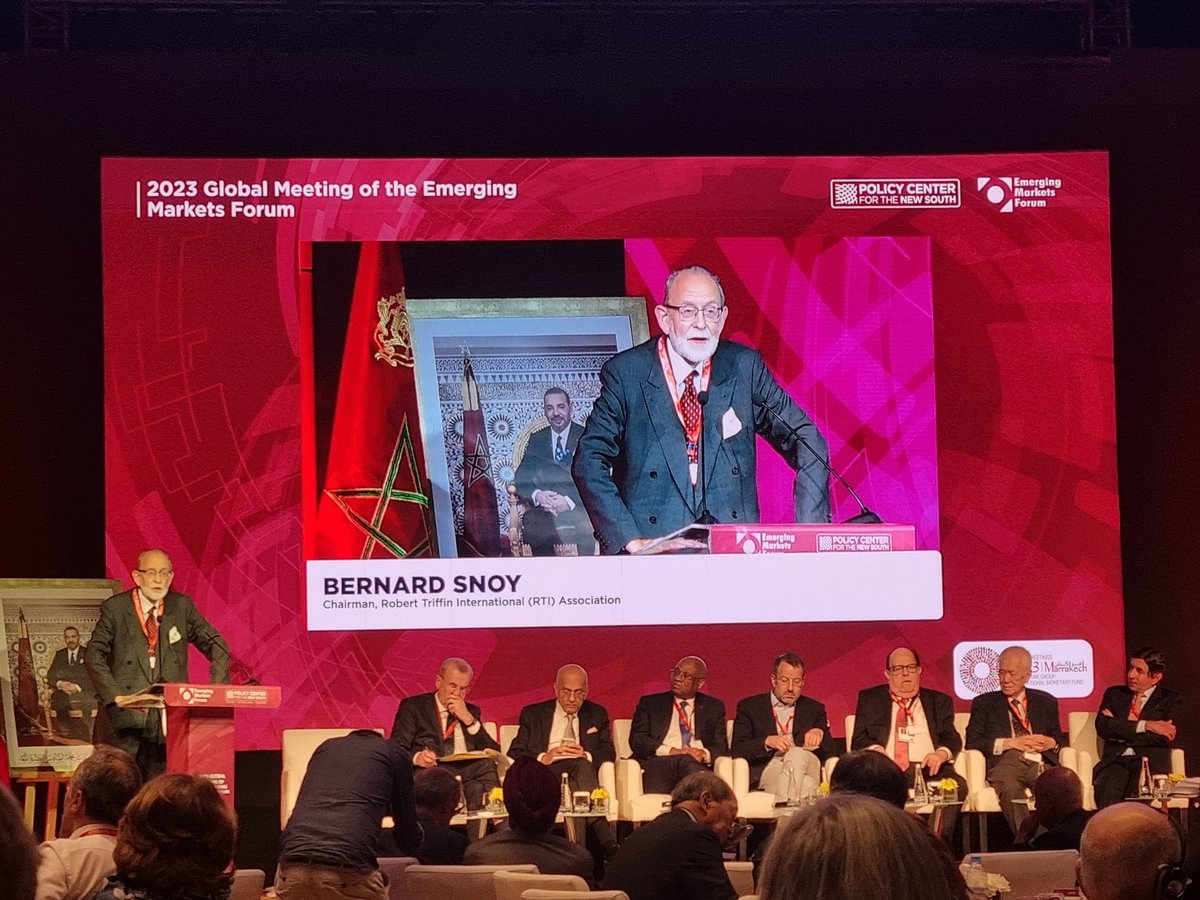 <a href="/TriffinInt/">Robert Triffin International</a> at the Emerging Markets Forum in Marrakech