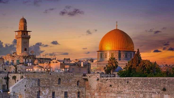 🇵🇸 فريد tweet media