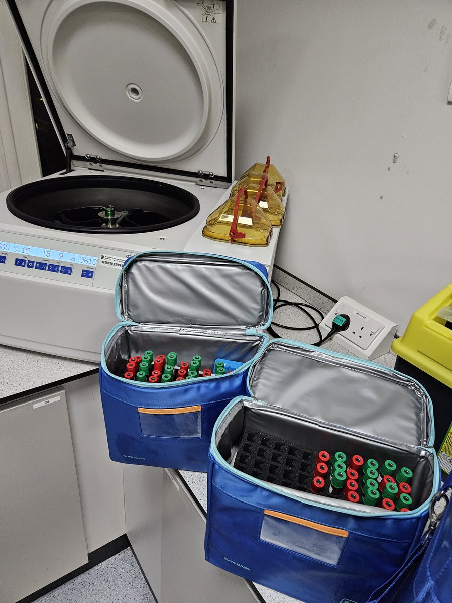 emmasquires_'s tweet image. Data collection for study 4✅️🍒🏃‍♂️
35 participants, over 420 jumps and MVCs, 132 blood samples and 1 marathon.

Big thank you to the team;@AshleighKeenan1 @ishbellomax @jacobjjw @OliverHayman2 @RosieredSmith @GlynHowatson, Ian Walshe and @EventsOTN for making this possible.