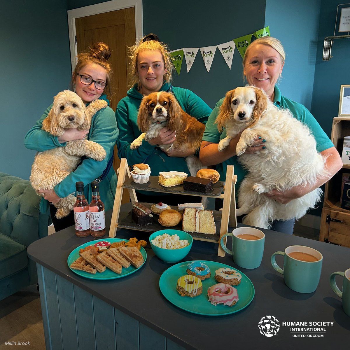 humaneworlduk's tweet photo. It's lovely to see so many Paw Parties taking place, raising vital funds for animals. 🎉🐾  

Thanks to @millinbrook1 for this photo!

There’s still time to get involved. Visit https://t.co/sD8BV8zOSM to receive a Paw Party fundraising pack. https://t.co/bFGokMhguS