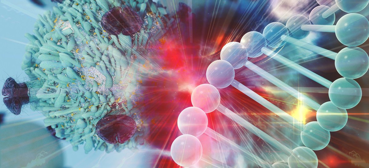 Newcastle Hospitals Skills Academy tweet media