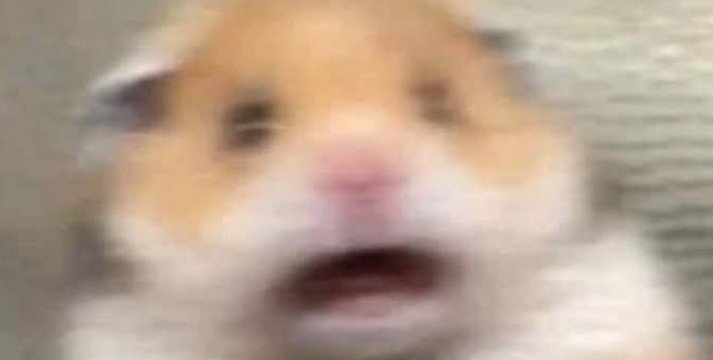 Cheyenne tweet media