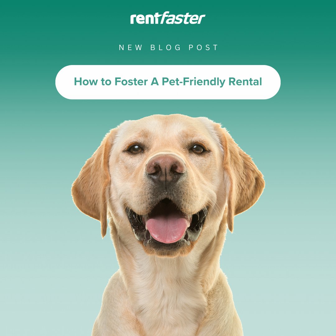 RentFaster's tweet image. For all the dogs (and cats)! 🐶🐱

Check out our latest blog post with a guide on how to create the best living environment for your furry friends.

Read now: bit.ly/3rMQjfj

#Rentfaster #PetFriendly #Rentals #Pets #Dog #Cat #ForAllTheDogs #ForAllTheCats