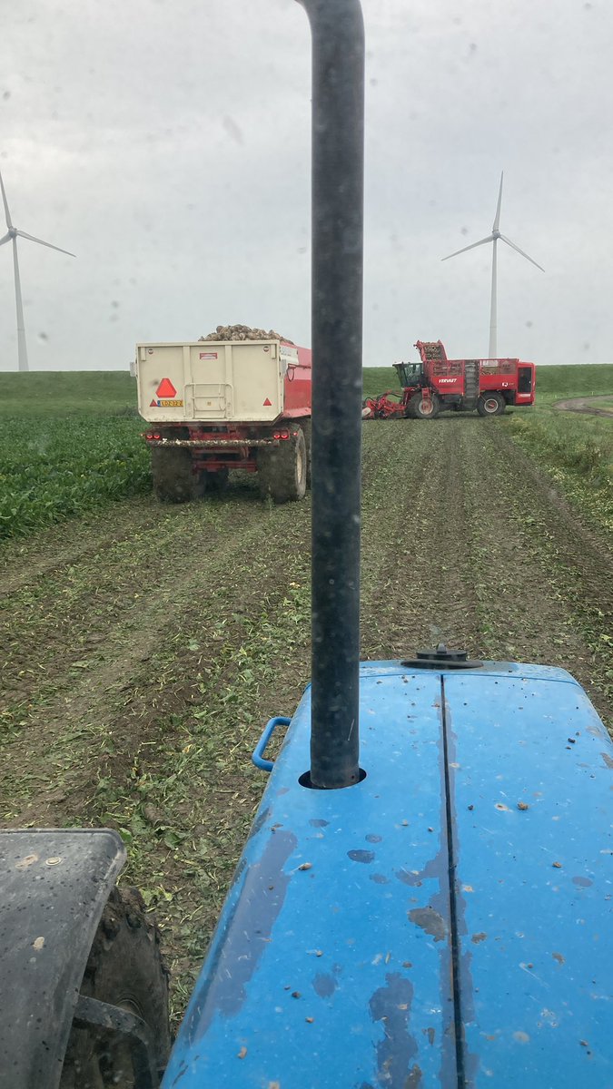 jorikd1's tweet photo. Gisteren dagje bieten rooien. Altijd mooi om oogst binnen te halen. Direct maar even lostrekken voor de voorspelde #regen #akker #dikkebakmitbietn https://t.co/Wx81zX6egI