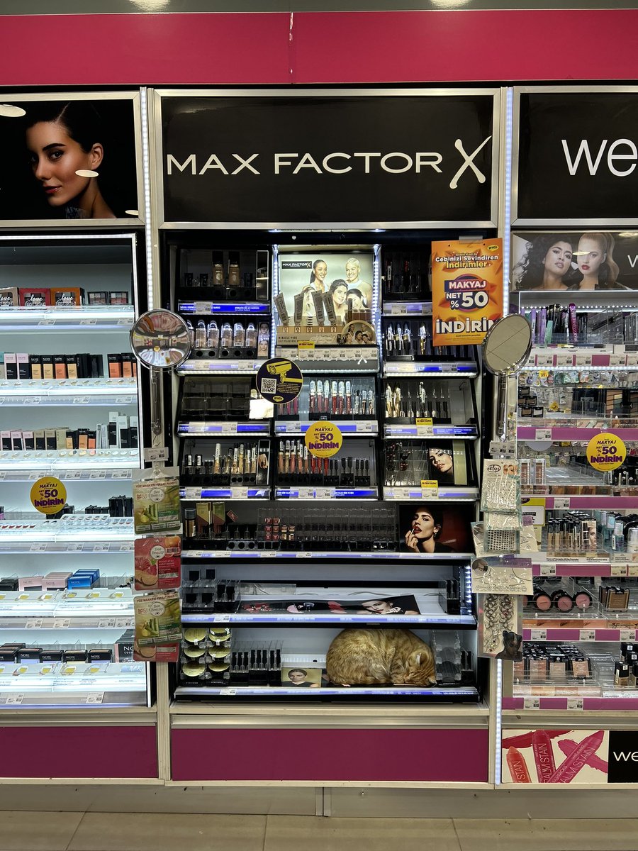 nurbeyzaaydin's tweet image. #maxfactor
