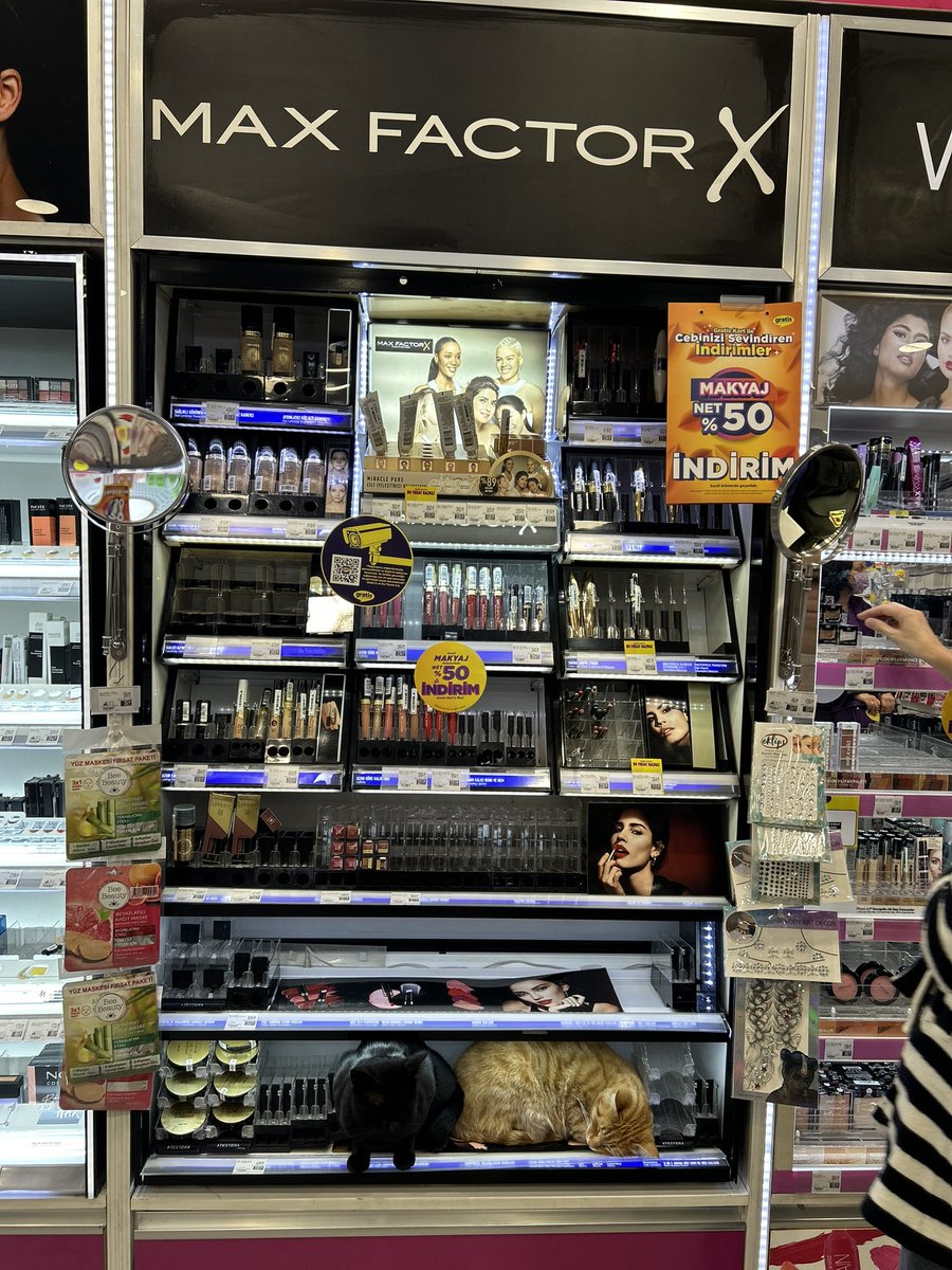 nurbeyzaaydin's tweet image. #maxfactor