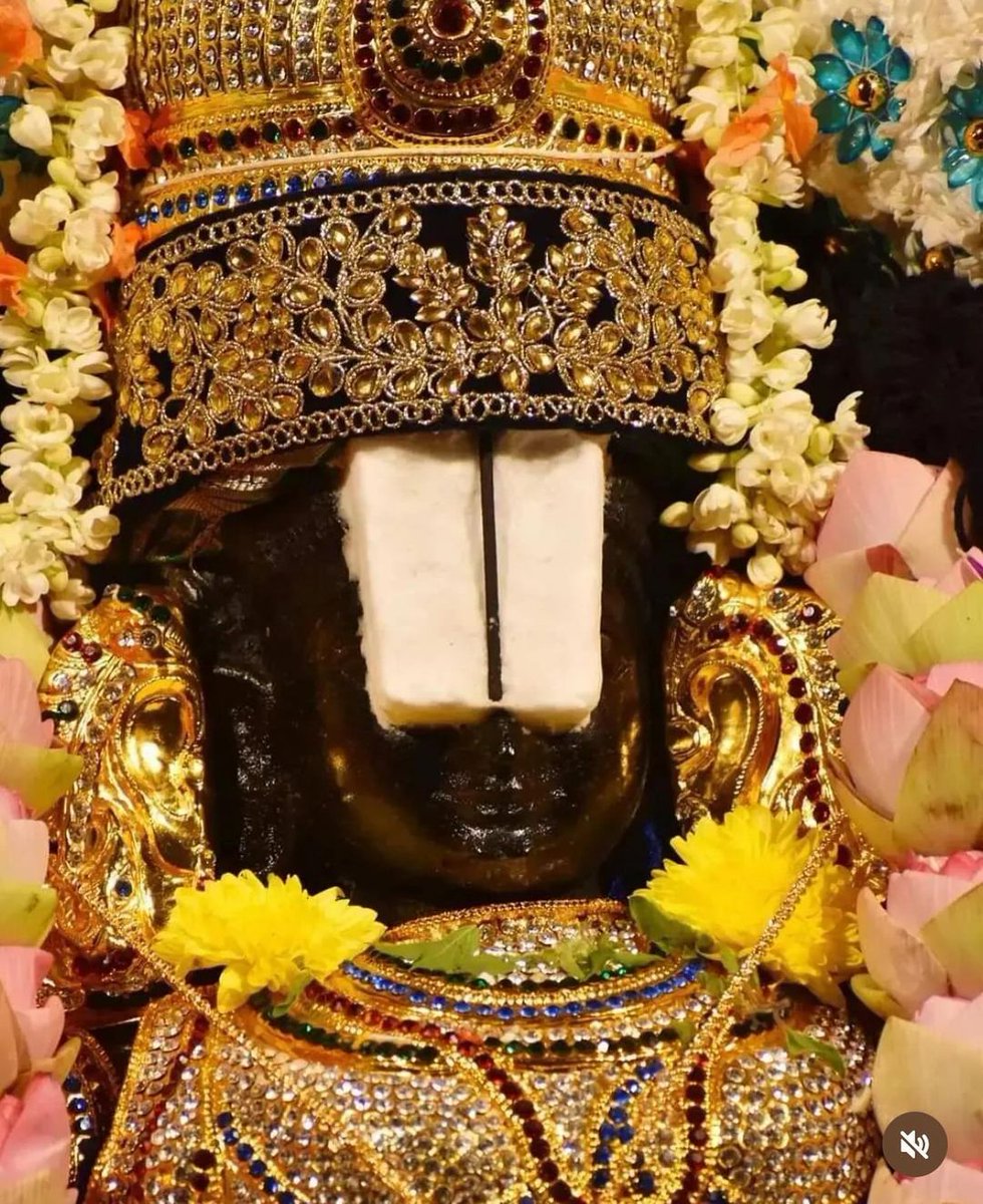 Govinda Govinda 🙏❣️

#vishnudevotees #vishnu #tirupati #tirumala #lordvenkateshwara #omnamovenkateshaya #govinda #perumal #balaji #krishna