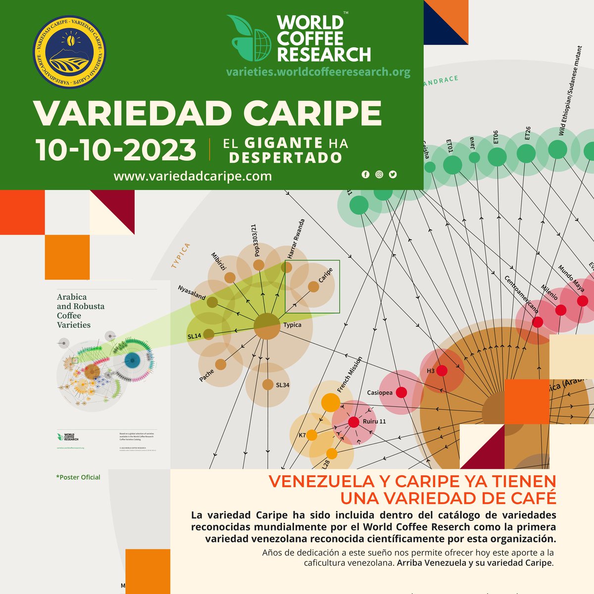 caripevirtual's tweet image. Orgullo de Caripe para el mundo. Gracias a la investigación del Ing. Gustavo Buonaffina Parra, su hija Indira Buonaffina y  a la profesora  Catalina Ramis  (Instituto de Genética Facultad de Agronomía Universidad Central de Venezuela) por este logro para la caficultura venezolana