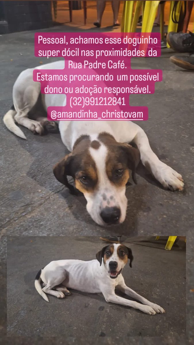 marimotta's tweet photo. @plantaojf https://t.co/15Pn4hZNIg