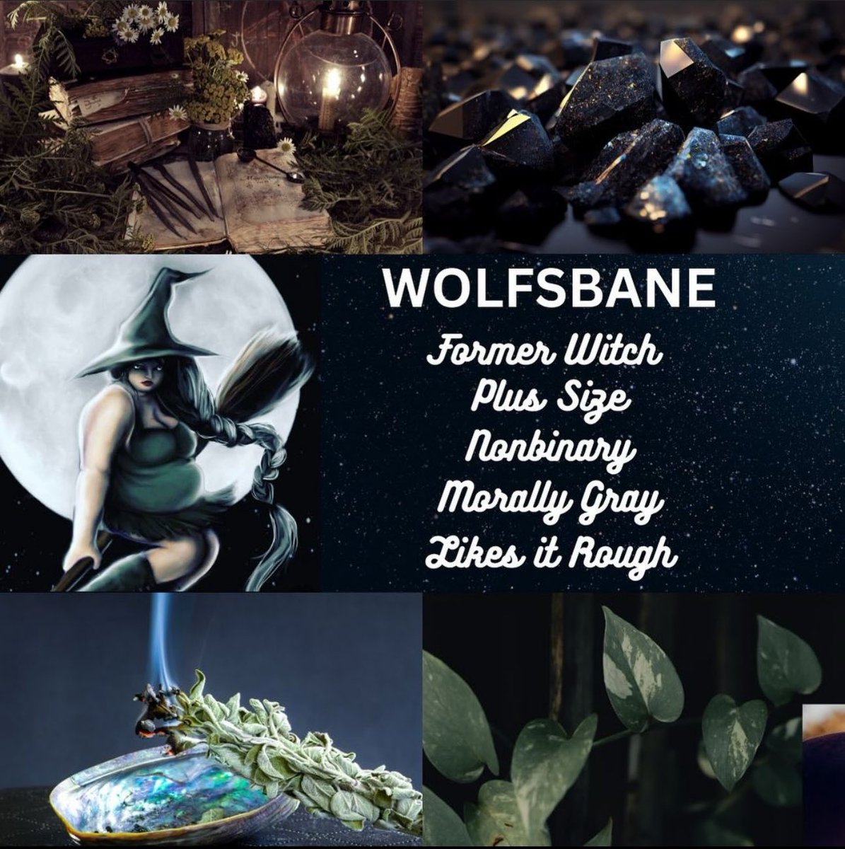 TheMaxineRivers's tweet photo. In celebration of the release of KING OF BASTARDS, I’m doing a “Meet the Character” series. 

Meet Wolfsbane, the broody sorcerer who sold their soul to their Shadow in order to kill the Solar King. 

KING OF BASTARDS is available on Amazon &amp; KU.

Art Cred: @sleepless_katith https://t.co/BPQqqs7zyT