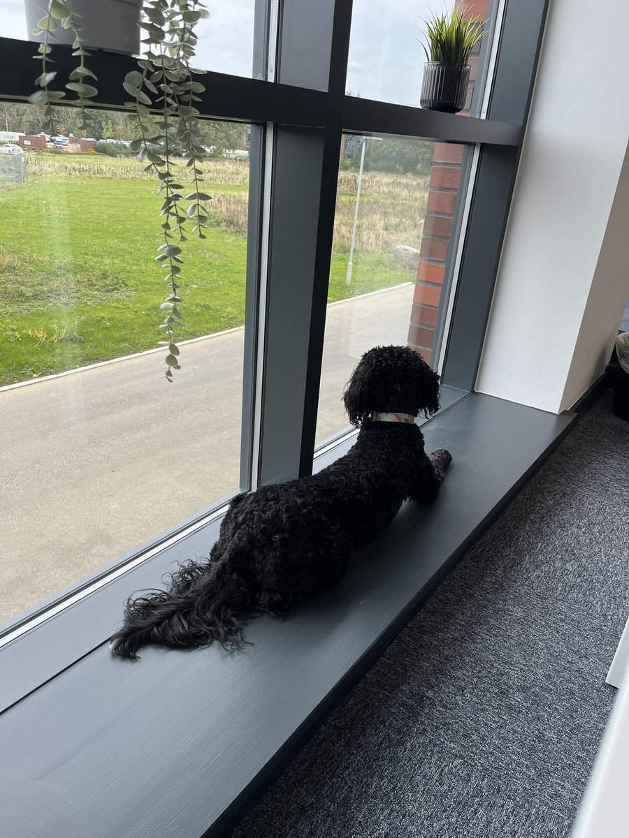 Emma Cockburn tweet media