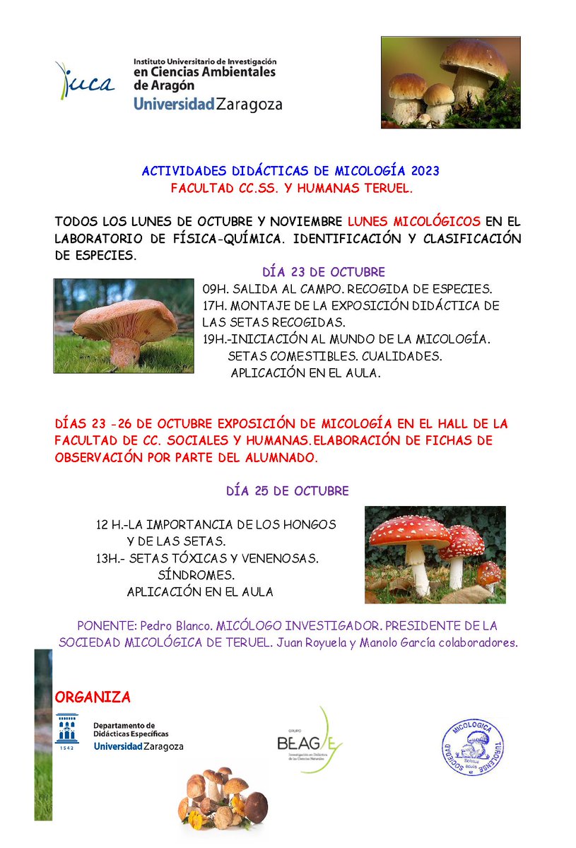 CienciaTEn's tweet photo. Desde @CienciaTEn @fcsh_teruel @GrupoBeagle @IUCAunizar, os informamos que, todos los lunes de octubre y noviembre, en el laboratorio de Física y Química de @fcsh_teruel,  la Sociedad Micológica Turolense ayudará a la identificación y clasificación de setas a quien lo necesite https://t.co/9IEkSiQ8R4