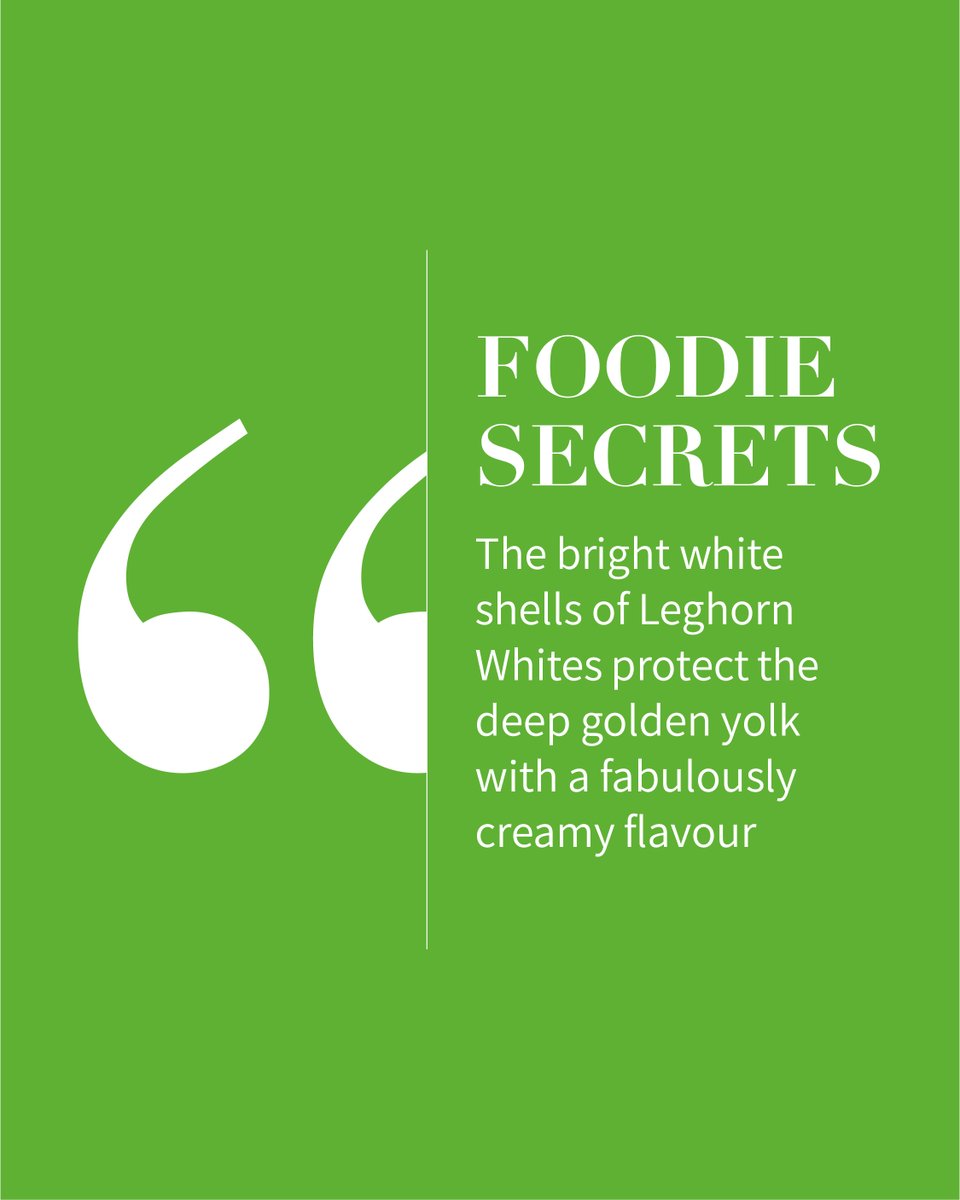 Soufflés are sophisticated – and simple!
These billowy beauties are the most dashing dinner guest, bringing cloudlike goodness to the table every time. Today we’re sharing our fabulous Passionfruit Soufflé with you, made using our classic Leghorn White eggs for extra creaminess.