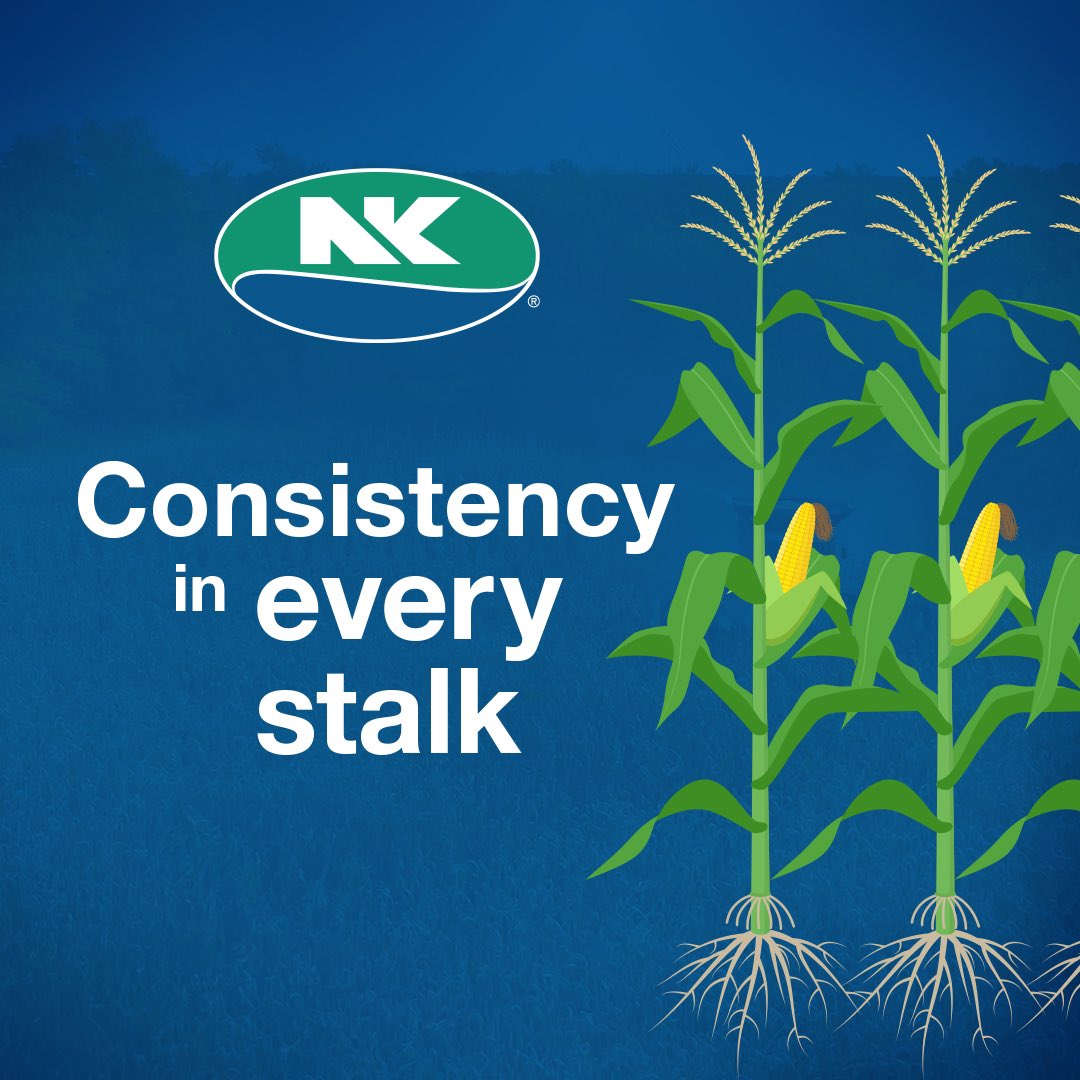 NK Seeds Missouri/Iowa tweet media