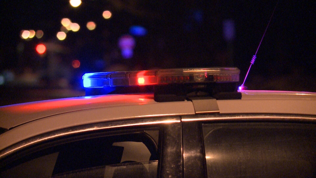 Laine Johnson tweet media