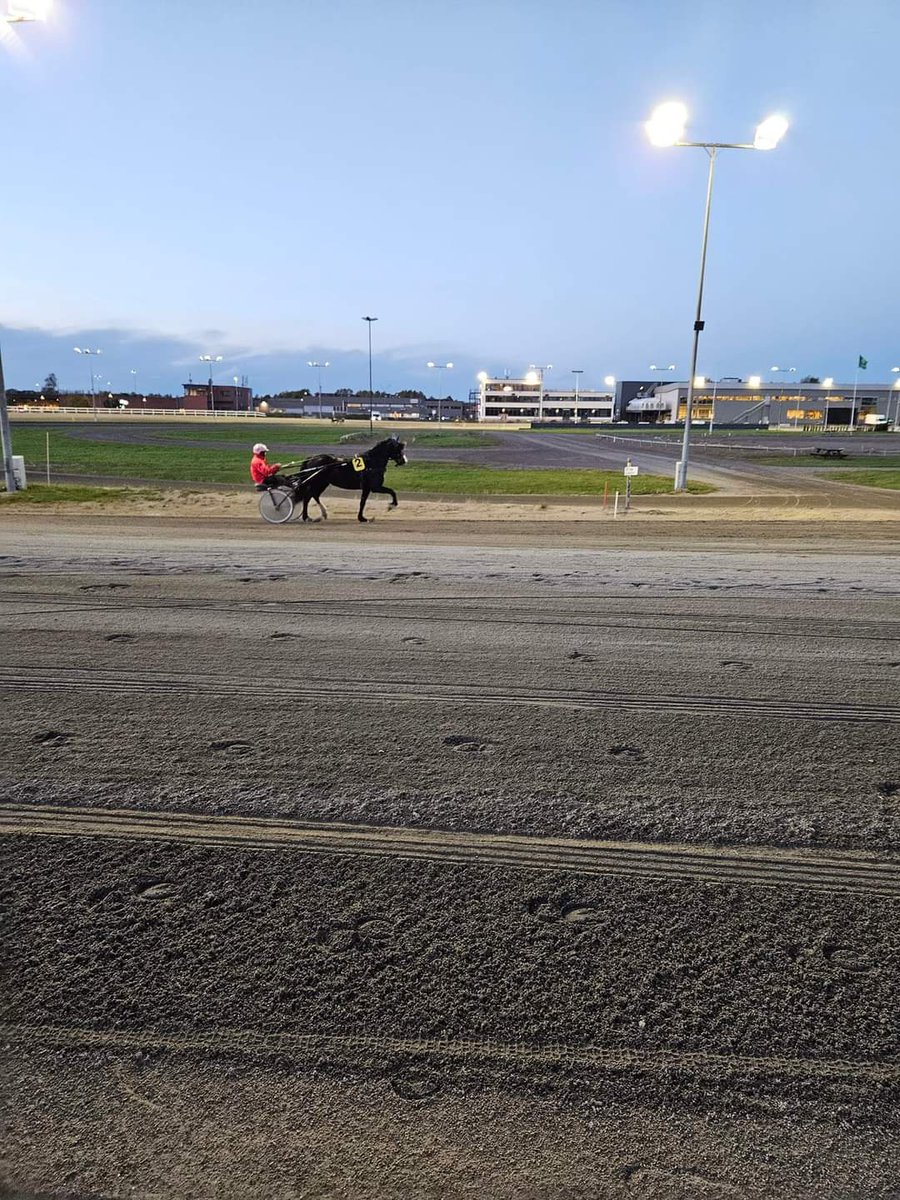 Cashfan78's tweet photo. Fjord Odine gikk rutineløp på Jarlsberg i kveld. Hun så veldig fin ut i travet visstnok. 38,2/2100m med 35 siste 1000 uten å puste i nesebora i stallen etterpå. Gikk fort til slutt i følge Mesteren i vogna. Dette lover veldig bra. ❤️ #andelshest #TeamFjordOdine https://t.co/jPAPbA8mZs