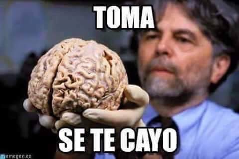 elarcaico's tweet photo. Semilla hizo fraude para ganar las elecciones
-ah , ok y si hizo fraude por que no gano mas diputaciones , para manejar el congreso https://t.co/MEKpsOsgbb