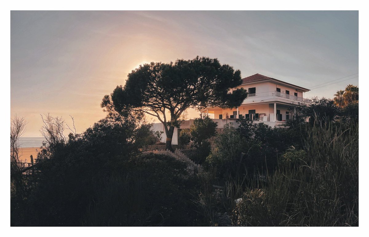 Conor Flannery (@conor_flannery) on Twitter photo 