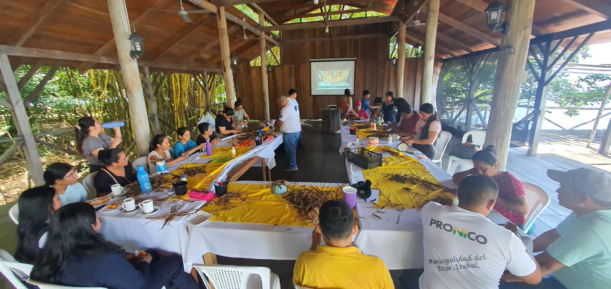 MagaGuatemala's tweet photo. Personal de #DIPESCA #MAGA impulsó la Capacitación Integral para el Aprovechamiento de la Fibra de Lirio Acuático, dirigida a 30 artesanos de los municipios de El Estor, Izabal. https://t.co/OP6707DkxS