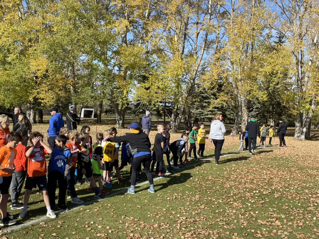 ECDAA (@ecdaasport) on Twitter photo ECDAA Cross Country is underway! U9 boys first to run on a beautiful day here at Carlton Trail. Thanks <a href="/Eagles_Of_LCS/">Langenburg Central</a> for hosting! <a href="/GSSD204/">Good Spirit SD</a> <a href="/CTTCS_212/">Christ The Teacher</a> ECDAA Cross Country is underway! U9 boys first to run on a beautiful day here at Carlton Trail. Thanks <a href="/Eagles_Of_LCS/">Langenburg Central</a> for hosting! <a href="/GSSD204/">Good Spirit SD</a> <a href="/CTTCS_212/">Christ The Teacher</a>