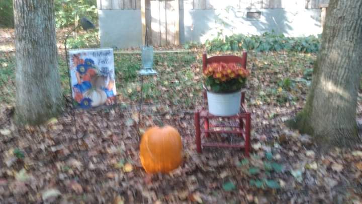 Did some Fall decorations Yesterday.